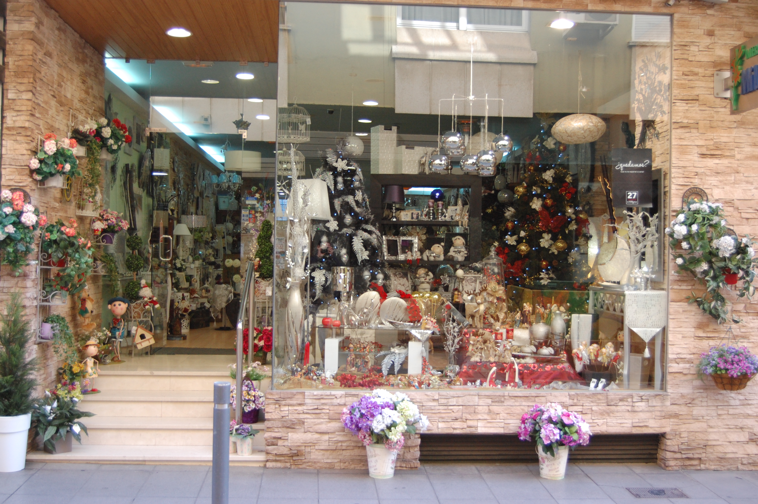 Galería de imágenes